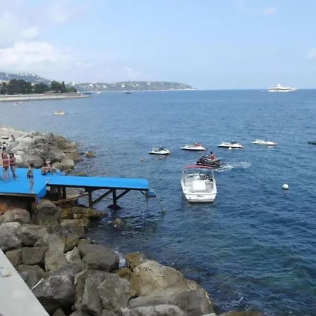 Monaco Comfortable *